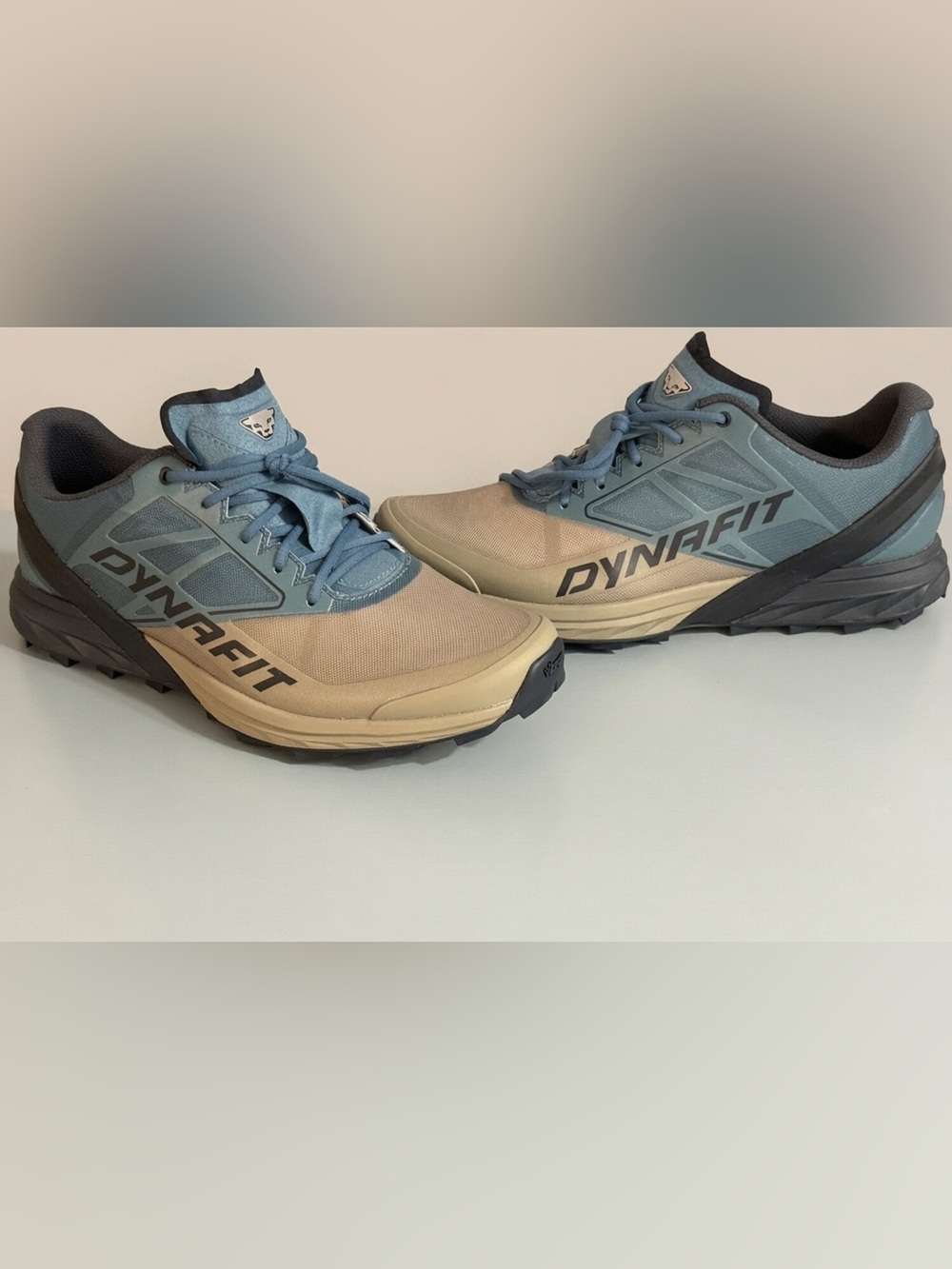 NWOT DYNAFIT SNEAKERS